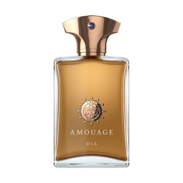 Amouage DIA MAN EAU DE PARFUM 100 ML