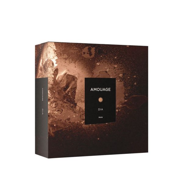 Amouage DIA MAN EAU DE PARFUM 100 ML box