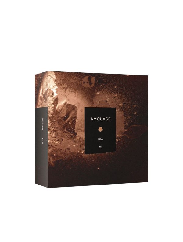 Amouage DIA MAN EAU DE PARFUM 100 ML box